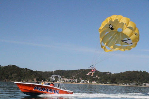 Try a Double Parasailing activity over the Bay of Islands